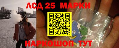 прущие грибы Можга