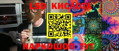 шишки Моздок