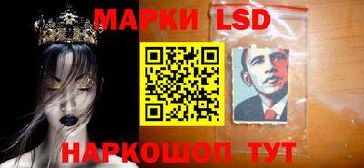 прущие грибы Можга