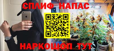 прущие грибы Можга
