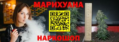 прущие грибы Можга