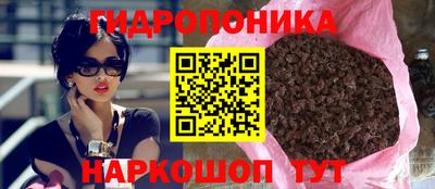 индика Можайск
