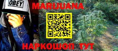 прущие грибы Можга
