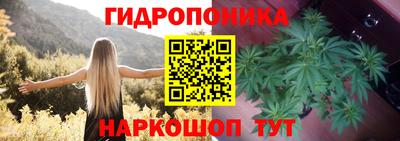 прущие грибы Можга