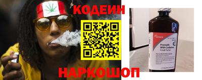 индика Можайск