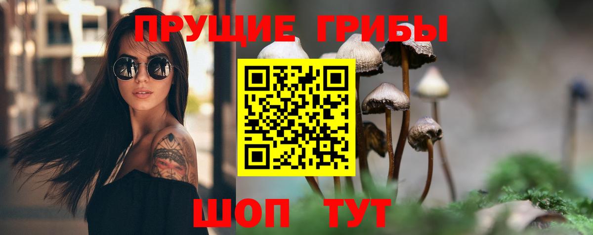 Галлюциногенные грибы ЛСД Тосно